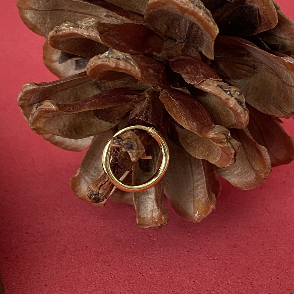 Classic Plain Gold Nose Ring