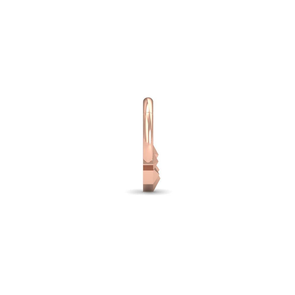 Geometric Septum Ring