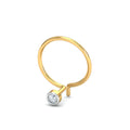Bruce 2 mm Nose Pin